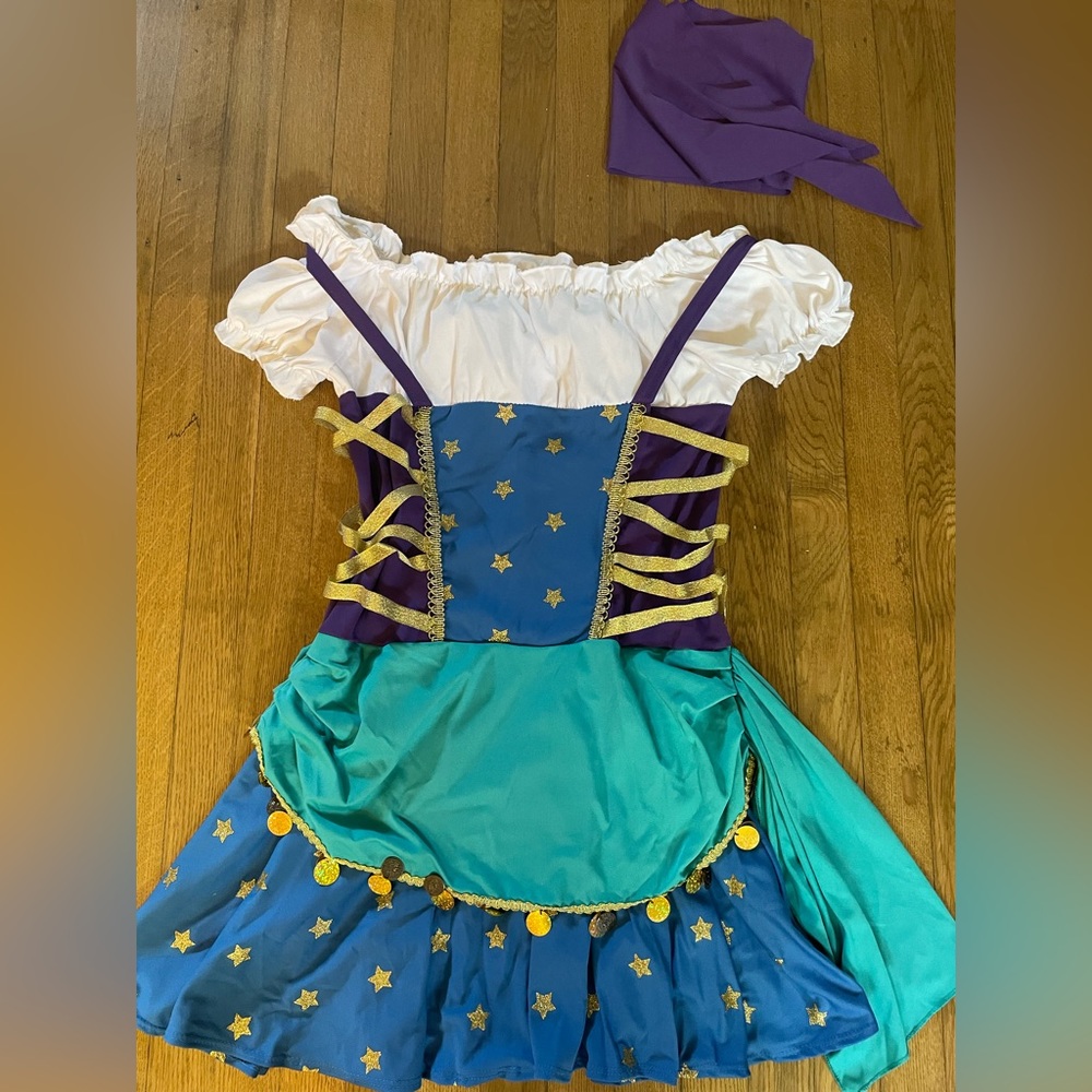 Gypsy Princess Costume